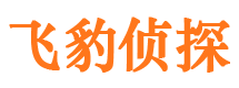 铜鼓外遇出轨调查取证